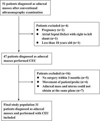 Contrast-enhanced ultrasonography for differential diagnosis of adnexal masses